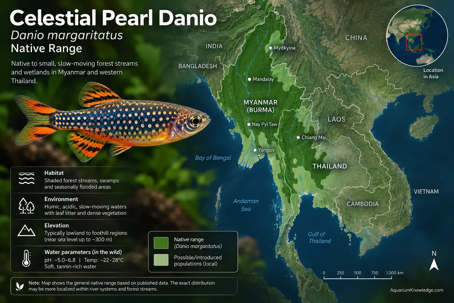 Map highlighting the native range of the celestial pearl danio in Myanmar