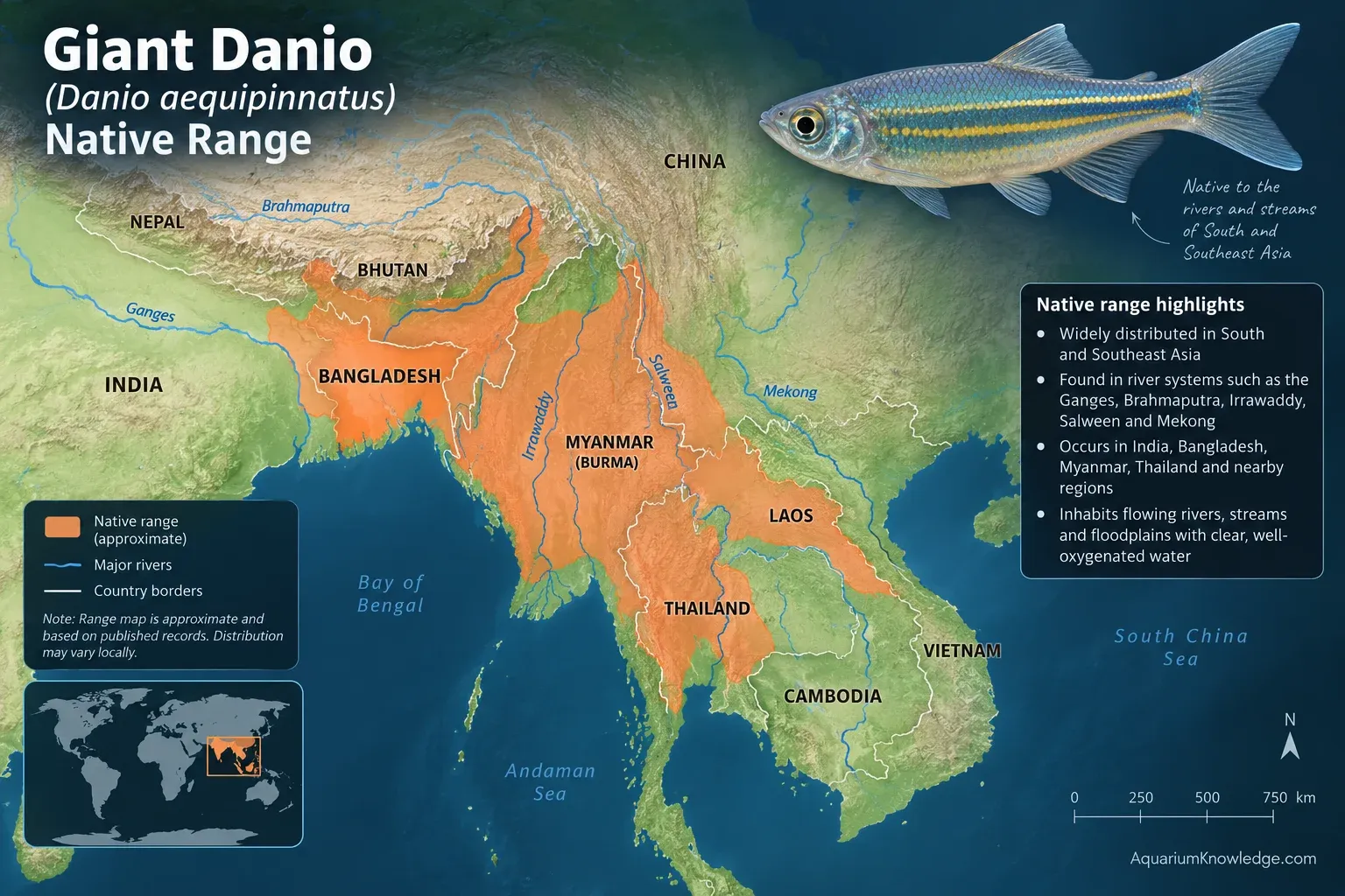 Map showing the native range of the giant danio in South and Southeast Asia