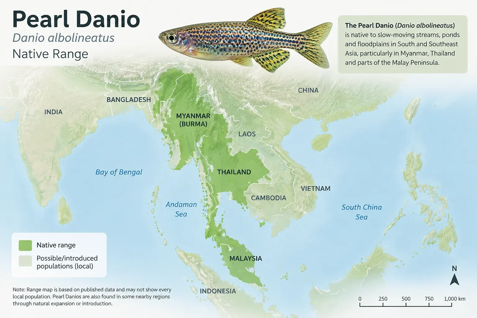 Map highlighting the native range of the pearl danio in Southeast Asia