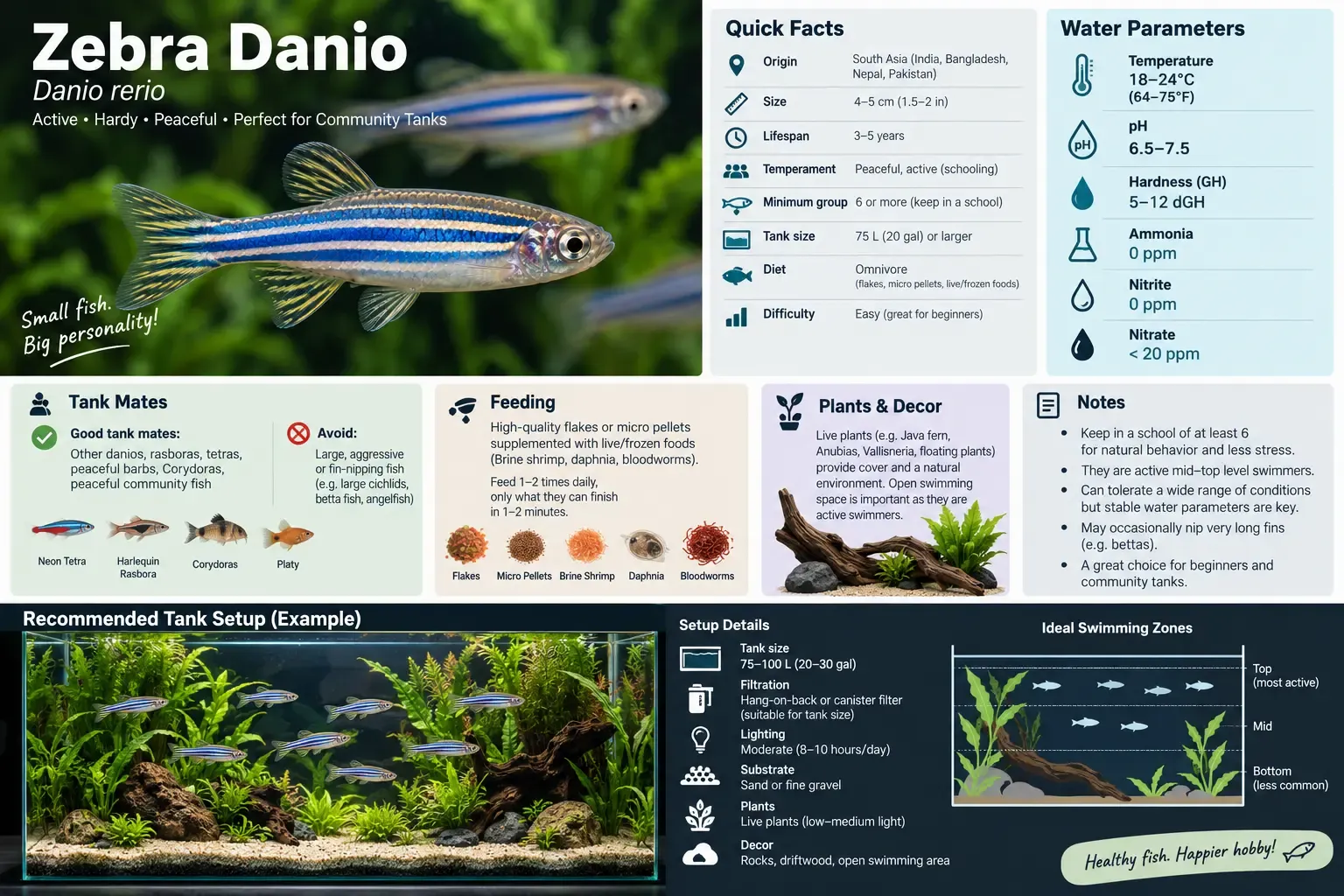 Planted long aquarium suited to a school of zebra danios